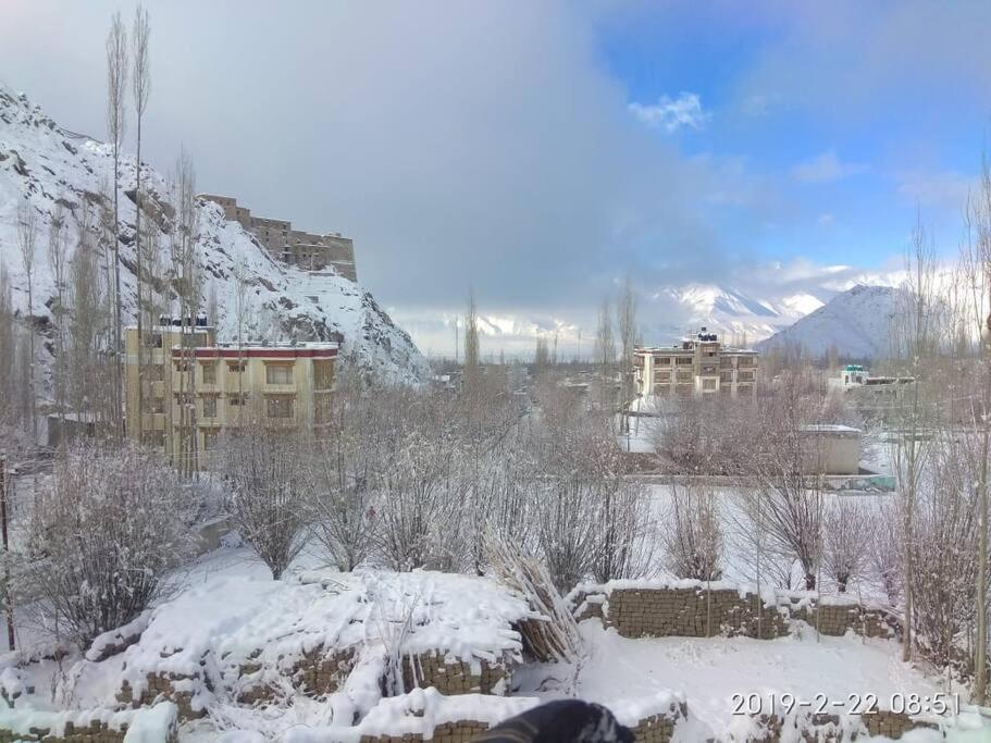 فندق Snow Lion Ladakh ليه المظهر الخارجي الصورة